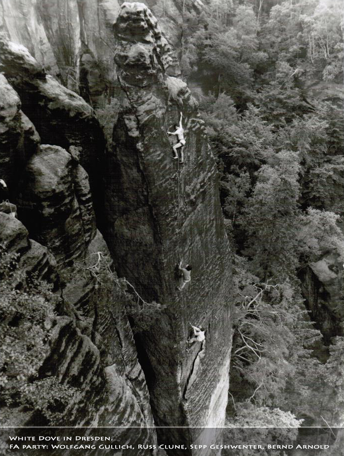 white-dove.jpg white-dove.jpg